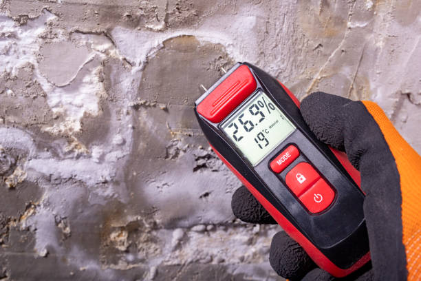 Best Crawl Space Mold Remediation in Osage, IA